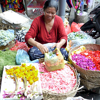 Photo de Bali - Balade, Garuda et spectacle